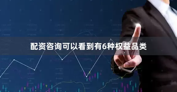 配资咨询可以看到有6种权益品类