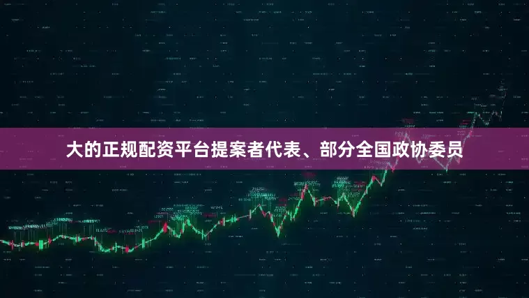 大的正规配资平台提案者代表、部分全国政协委员