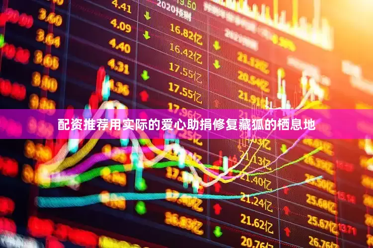 配资推荐用实际的爱心助捐修复藏狐的栖息地
