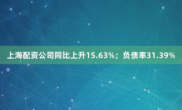 上海配资公司同比上升15.63%；负债率31.39%
