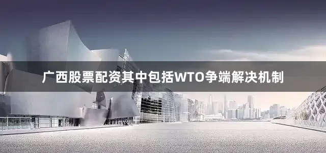 广西股票配资其中包括WTO争端解决机制