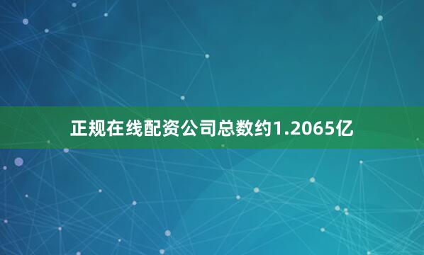 正规在线配资公司总数约1.2065亿
