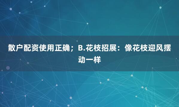 散户配资使用正确；B.花枝招展：像花枝迎风摆动一样